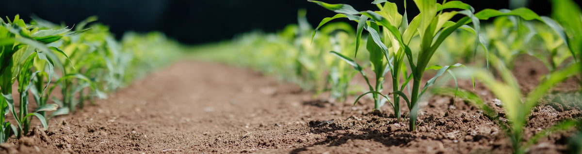 Built Tough for Australian Conditions