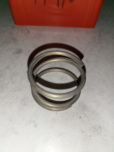 144910 Friction spring